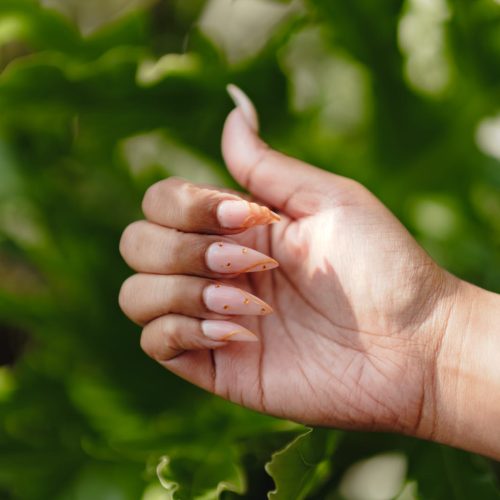 WhatsApp Image 2025-04-29 at 9.50.18 PM